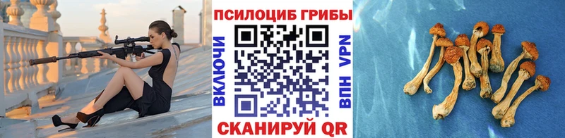 Псилоцибиновые грибы Magic Shrooms  магазин продажи наркотиков  площадка клад  Сорск 
